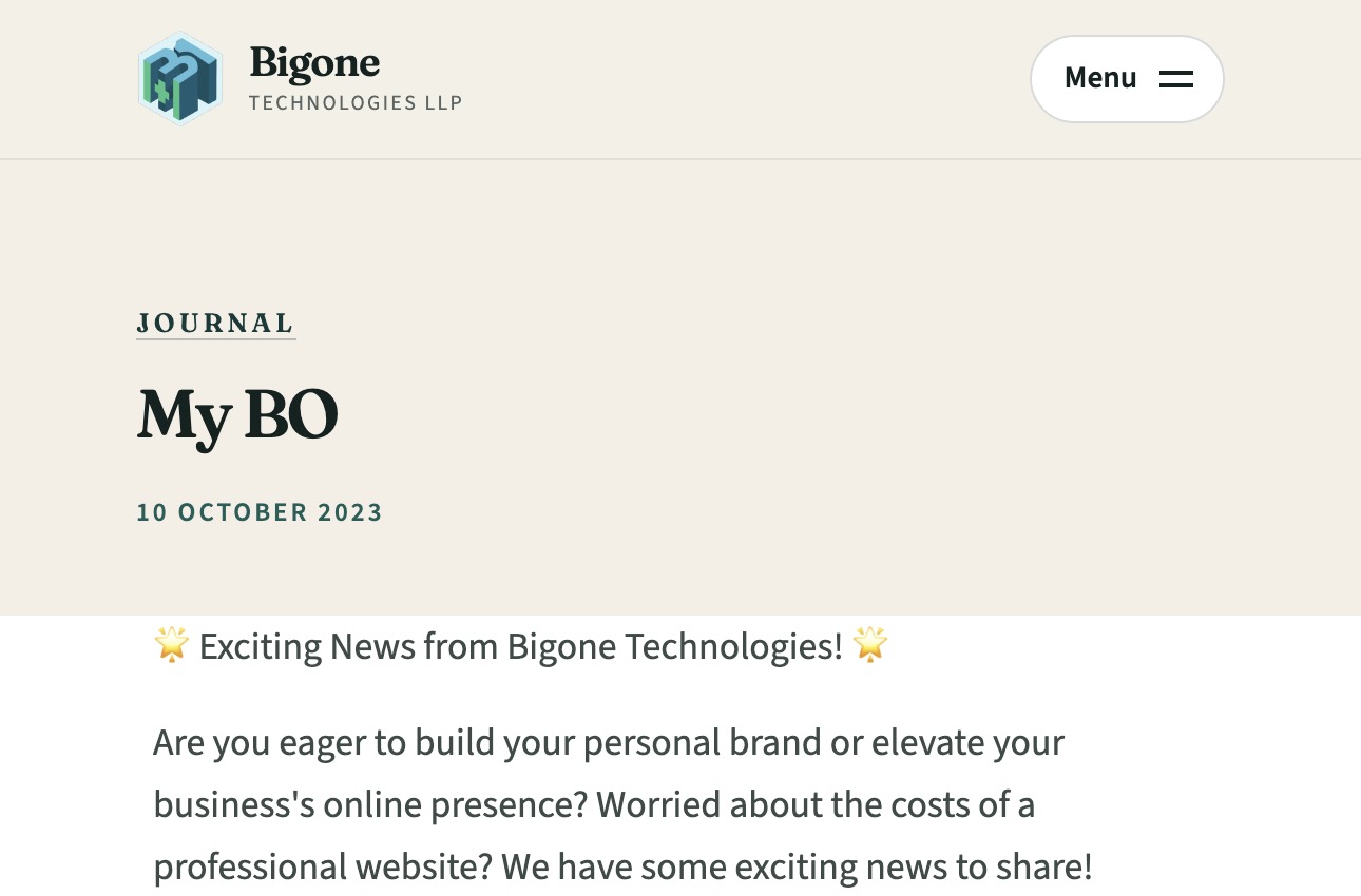 My BO portfolio website product